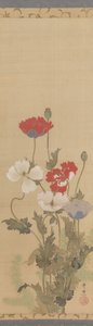 Coquelicots, milieu du 19ème siècle