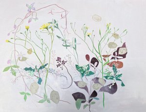  - Suzy Fasht