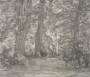 Paysage forestier de Falster - Svend Hammershøi