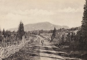 Suède : Jamtland, Areskutan Fran Undersaker - Swedish Photographer