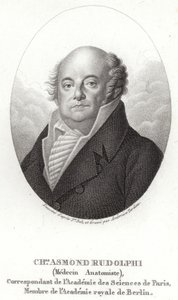 Karl Asmund Rudolphi - Swedish School