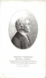 Abraham Trembley - Swiss School