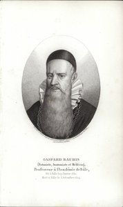 Gaspard Bauhin