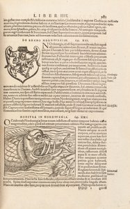 Page 983 de Cosmographiae Universalis par Sebastian Muenster, Bâle, 1572