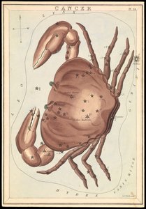 Cancer, vers 1825 - Sydney Hall