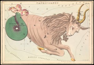Capricorne