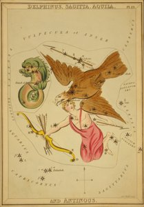 Delphinus, Sagitta, Aquila et Antinous, Illustration de 