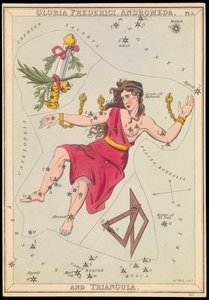 Gloria Frederich, Andromède et Triangula, vers 1825 (carte, papier, tissu) - Sydney Hall