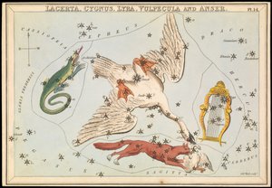 Lacerta, Cygnus, Lyra, Vulpecula et Anser, c.1825