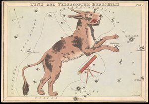 Lynx et Telescopium Hereschilii, c.1825