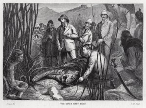 Le roi Édouard VII avec le tigre qu