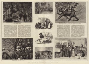Le Tour du Prince de Galles en Inde