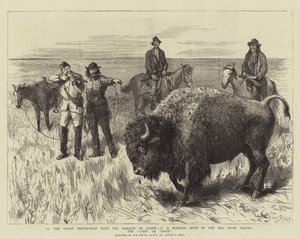Vers le Grand Nord-Ouest avec le Marquis de Lorne, X, une chasse au bison dans la vallée de la rivière Rouge, le coup de grâce - Sydney Prior Hall