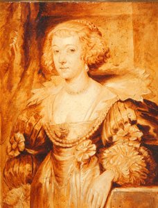 Amilia van Solms