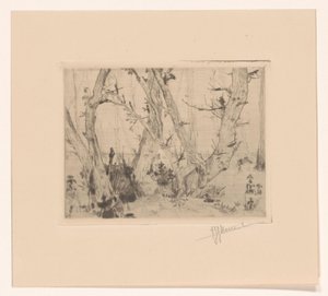 Vue de forêt