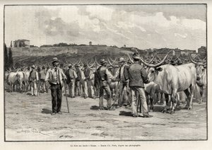 La foire aux bœufs à Sienne (Italie). Gravure de Taylor pour illustrer l
