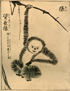 Singe, 1720, 1924