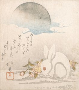 Lune, lièvre blanc dans la neige