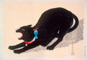 Chat noir sifflant