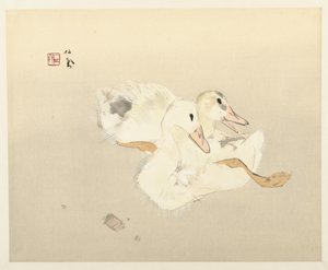 Jeunes canards - Takeuchi Seiho