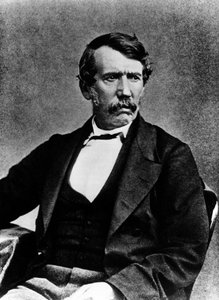 Portrait de Livingstone - photographie par Annan et fils, Glasgow