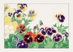 Fleur de pensée vintage de "Seiyou Sokazufu" - Tanigami Konan