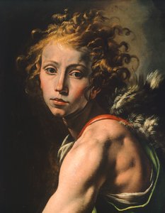 Figure de David (détail) - Tanzio da Varallo