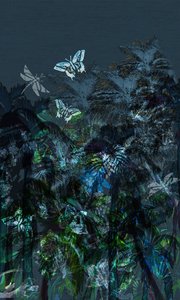 Tropiques sombres