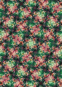 Palmier tropical - Tara Whitehead