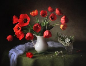 Des tulipes d