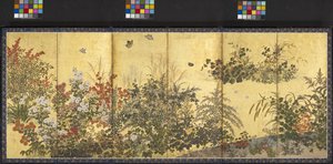 Fleurs et papillons