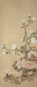 Pivoines, magnolia et pissenlits