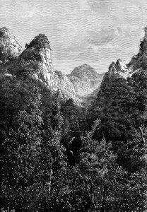 Madère, Portugal, 1895 - Taylor