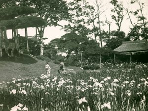 Jardin d