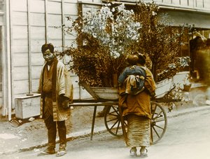 Vendeuse de fleurs itinérante dans les rues de Tokyo, vers 1900 - 1915 (photographie)