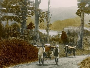 Jeune fille japonaise dans un Kago, région de Hakone, vers 1900 - 1915 (photographie) - Teijiro Takagi