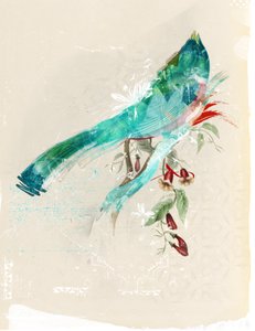 Silhouette d