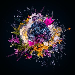 Bouquet III, 2018