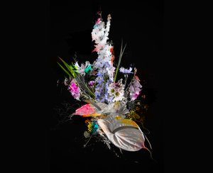 Bouquet II
