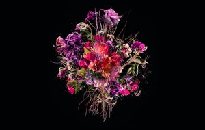 Bouquet VIIII