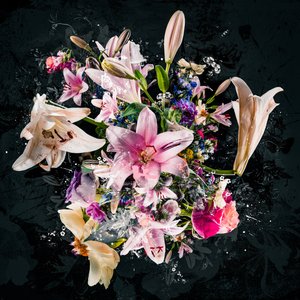 Bouquet VIII
