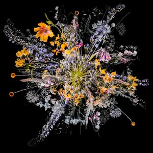 Bouquet VII
