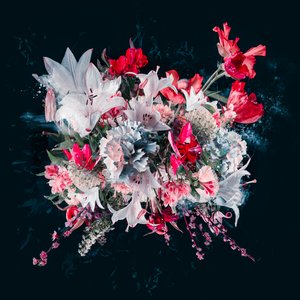 Bouquet V
