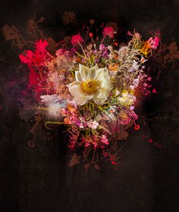 Bouquet XXVII