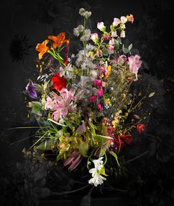Bouquet XXXIX