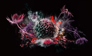 Bouquet X, 2016