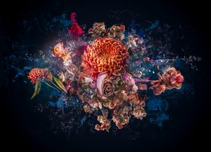 Collage de bouquet, 2017