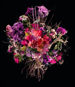 Bouquet violet