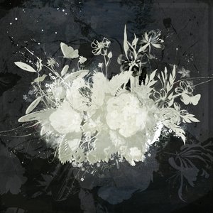Silhouette florale