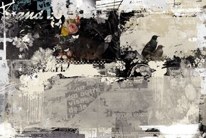 Oiseaux amoureux, 2015